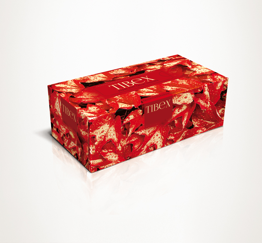 tibex tissue box design ni42