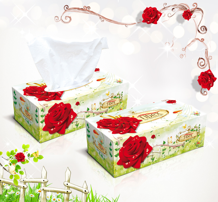 tibex tissue box design un15